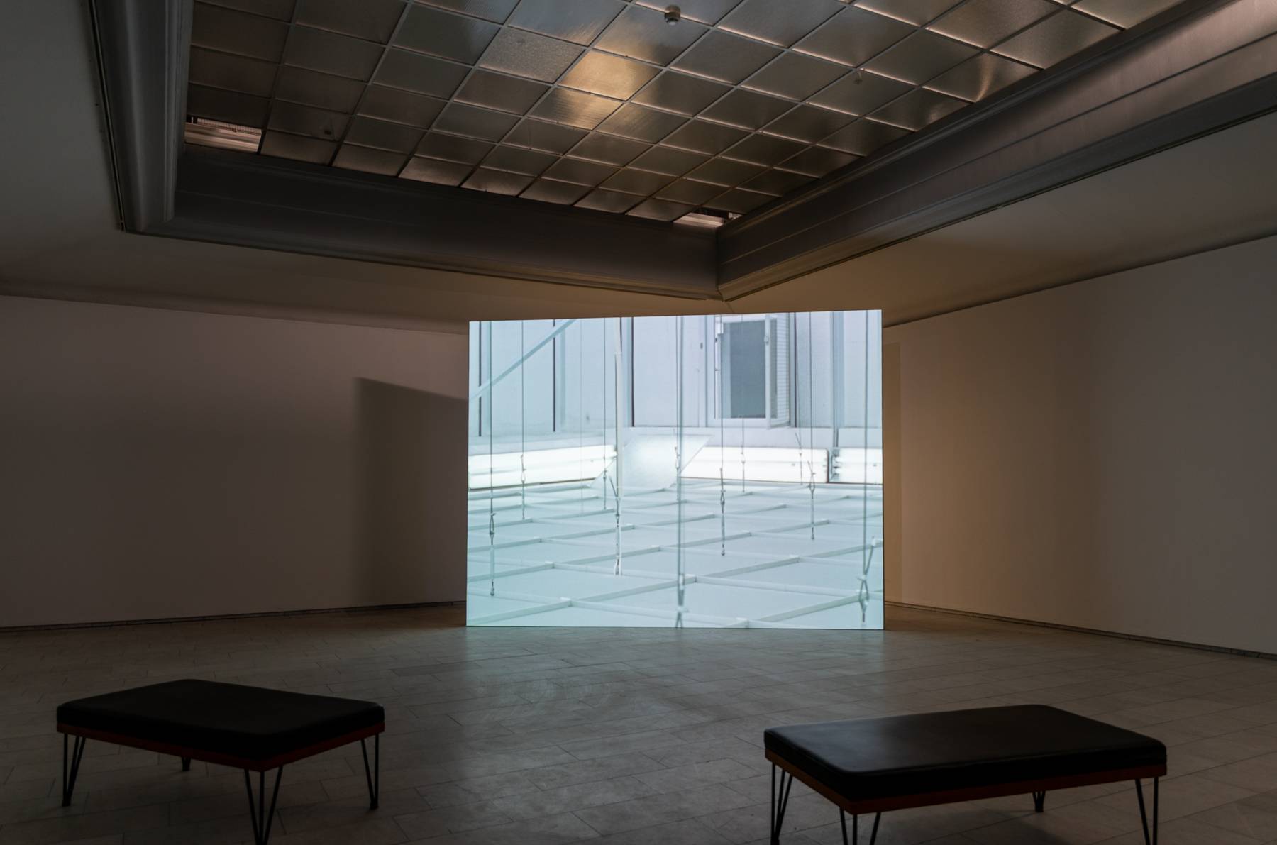 Lyset blinker (2026) — Øystein Wyller Odden