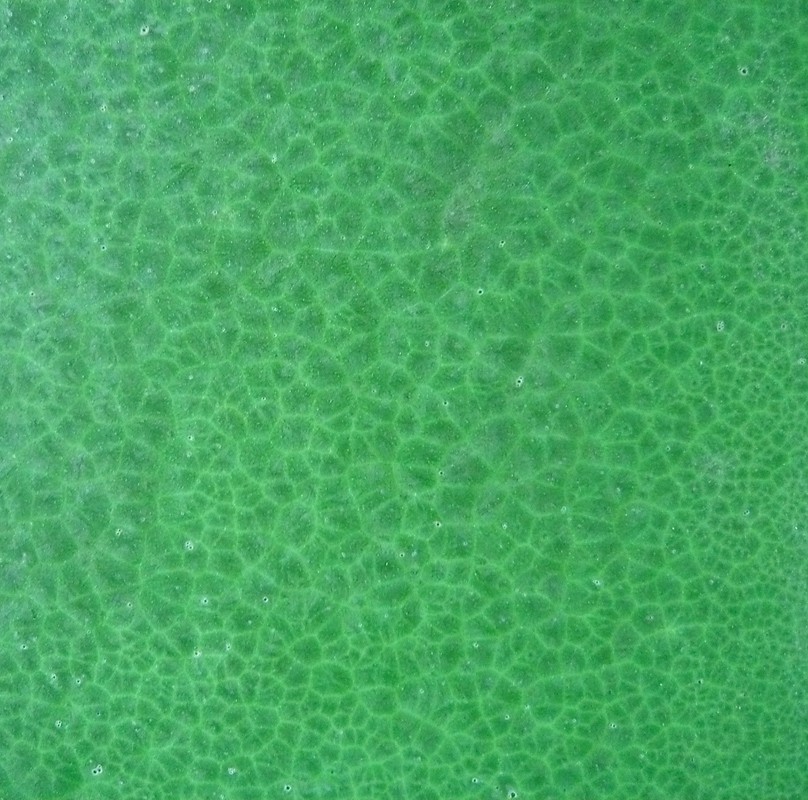 Uten tittel (grønn) (2009) — Jeannette Christensen