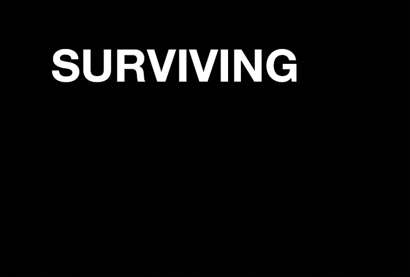 Surviving (2008) — Tor Jørgen Van Eijk
