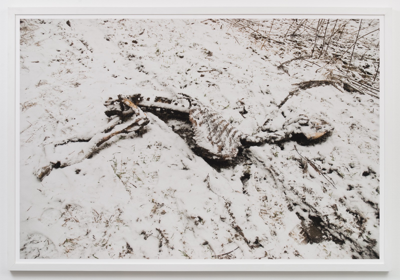 Den første snøen i desember (2015) — Morten Krohg