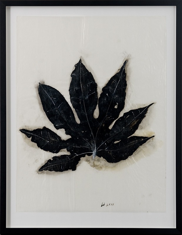 Black Leaf (2011) — Kjell Torriset