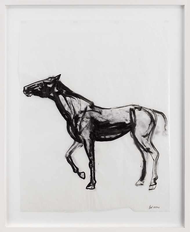 Horse (2009) — Kjell Torriset