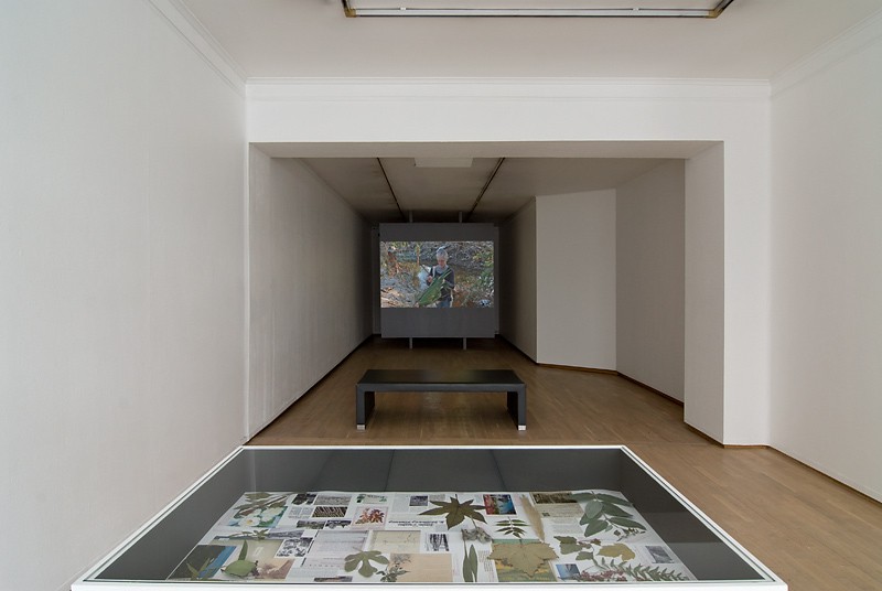 Oversiktsbilde fra utstillingen (2012) — Helene Sommer