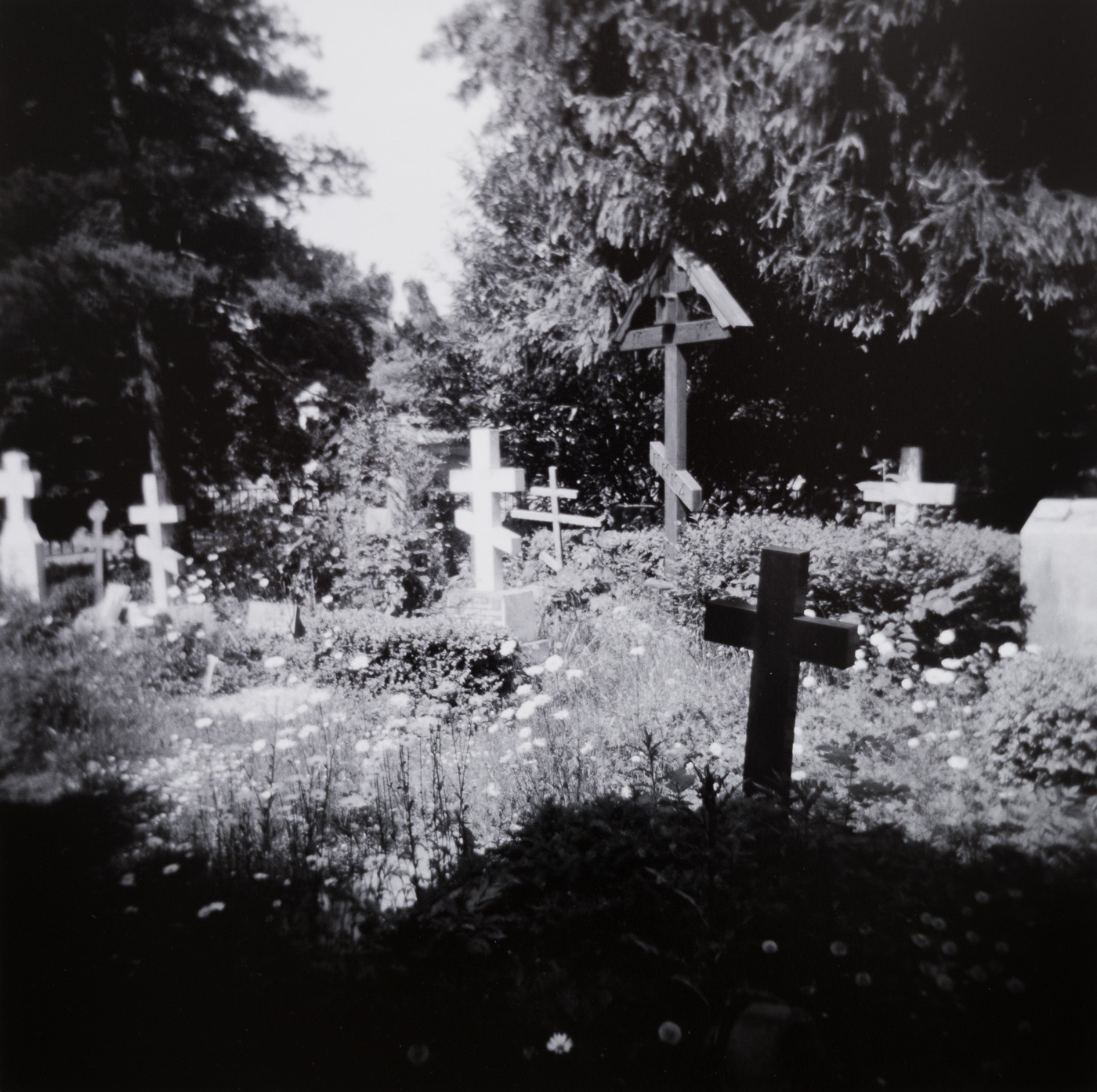 Projections (Assistens Cemetary in Copenhagen) (2018) — Christina Leithe H.