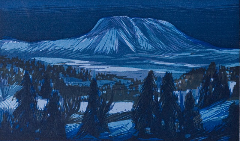 Vinternatt i fjellet (2010) — Terje Grøstad