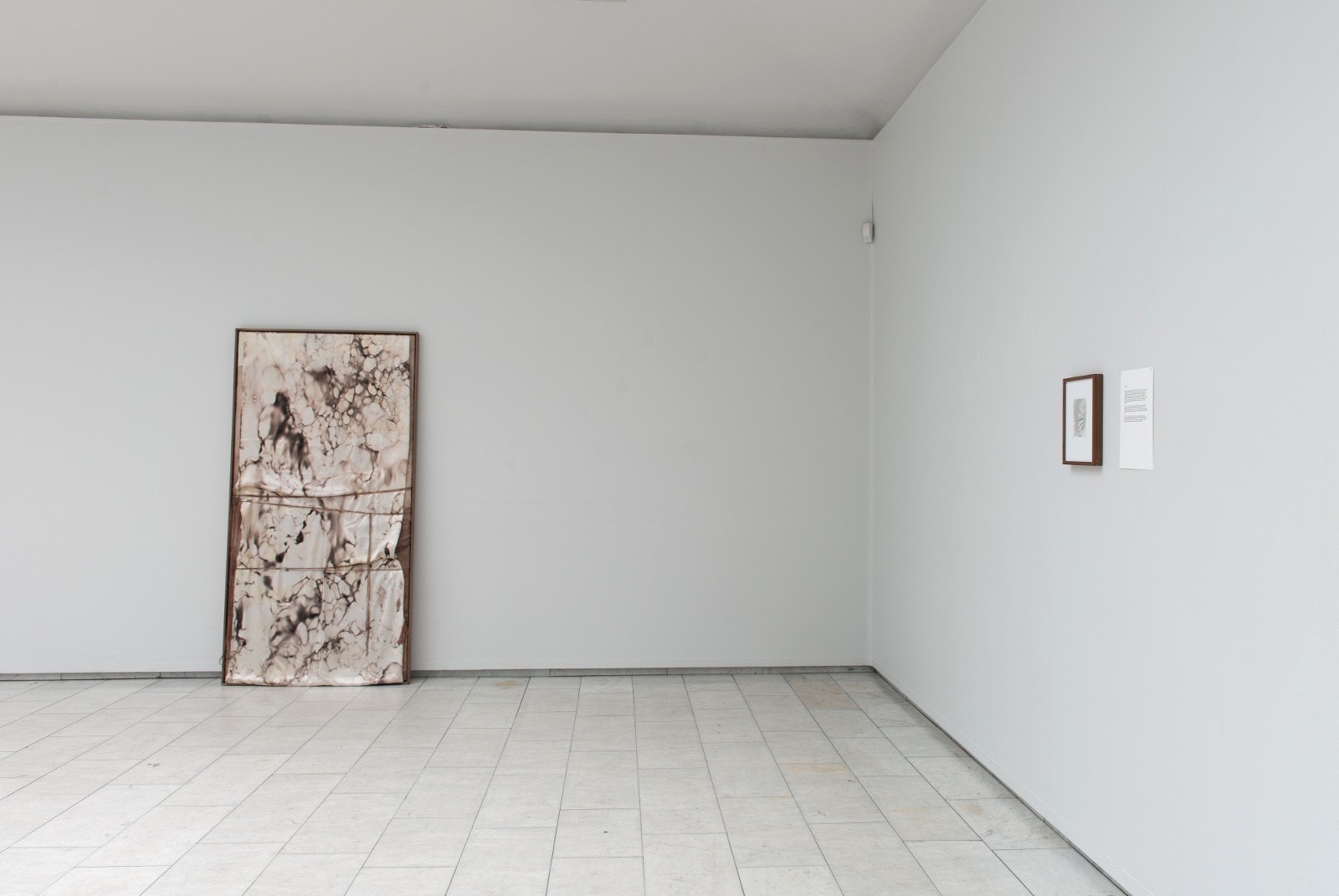Installasjonsfoto fra utstillingen (2015) — Ane Graff